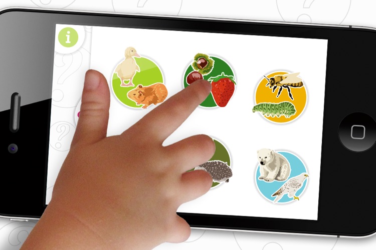 Kids Fun Memory screenshot-4