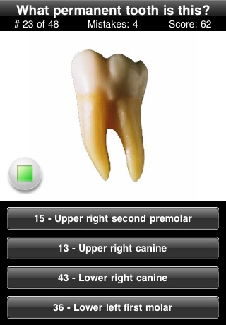 Animated Tooth Quiz Screenshot 5