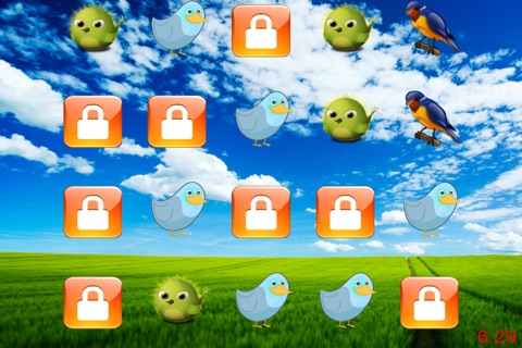 Matching Birds screenshot 4