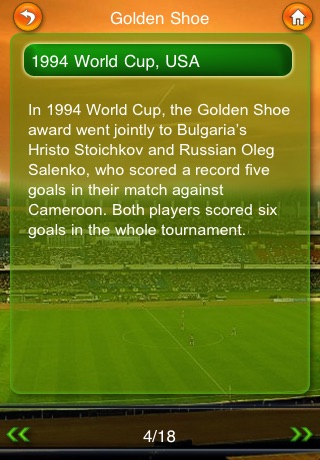 2010 Soccer World Cup screenshot 4