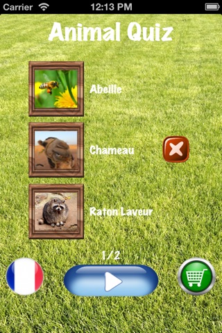 My Animal Quiz screenshot 2