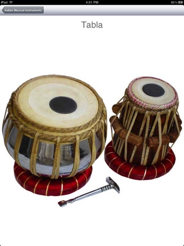 Indian Musical Instruments HD screenshot 3