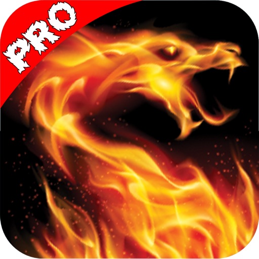 Dragon Warriors Mortal World Invasion : Pro iOS App