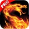 Dragon Warriors Mortal World Invasion : Pro