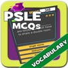 PSLE MCQs - Vocabulary