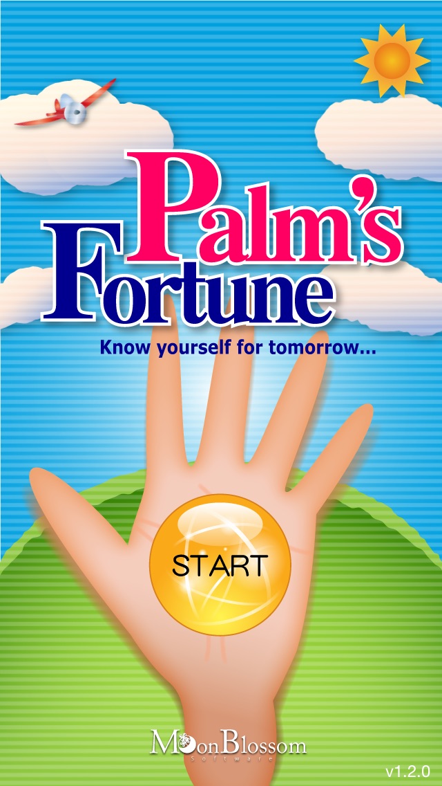 palms fortune [palmistry]