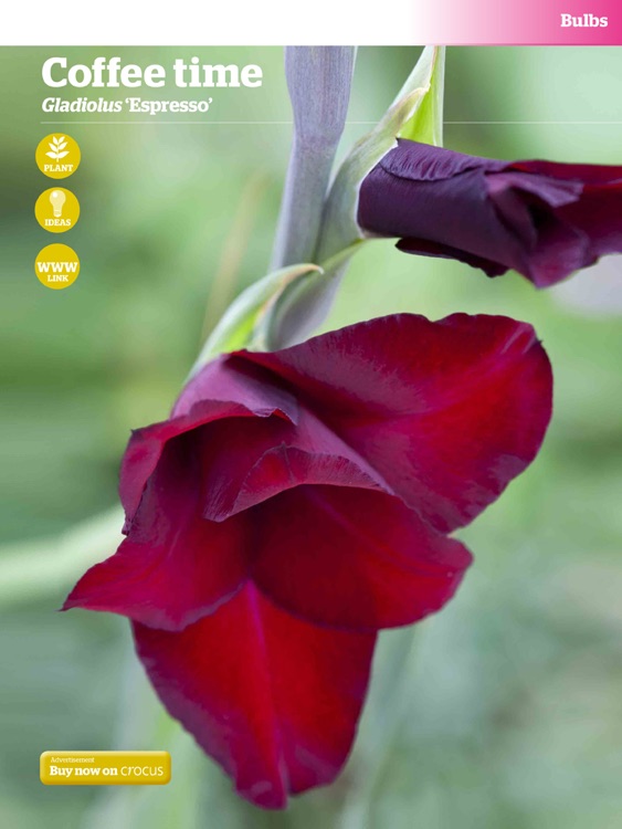 Gardeners’ World Magazine - 100 Best Plants screenshot-4