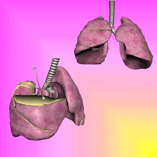 3D Respiration icon