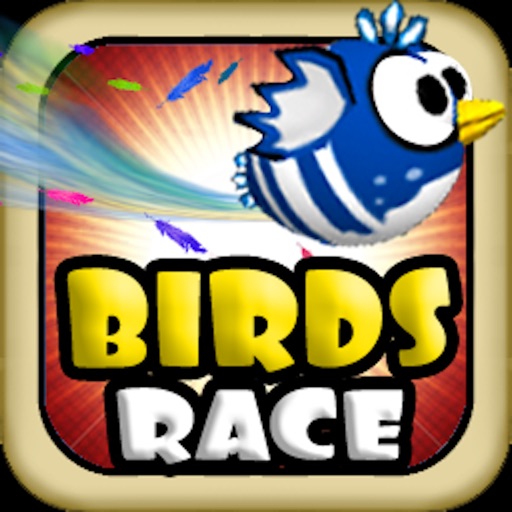 Birds Race ( Fun Racing Games ) icon