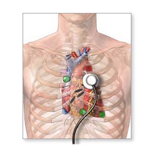 Cardiovascular Physical Exam icon