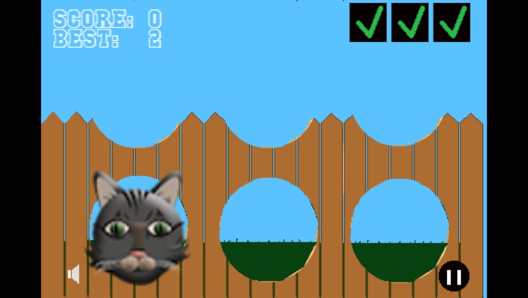 Tease The Cats - quick thinking free action game