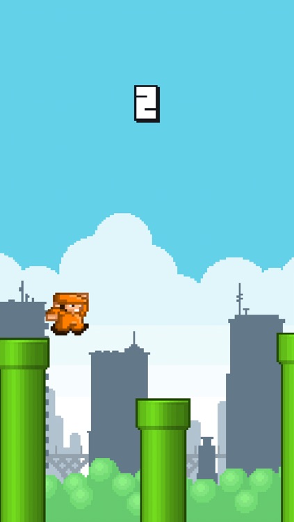 Flappy Fario