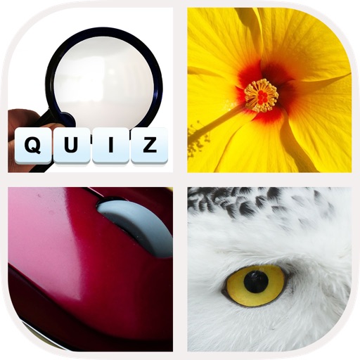 Allo! Close up - Guess the Zoomed in Photo Trivia Challenge icon