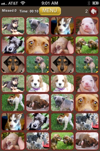 Matching Dogs - Memory Pairs Game for Dog & Puppy Lovers! screenshot 2