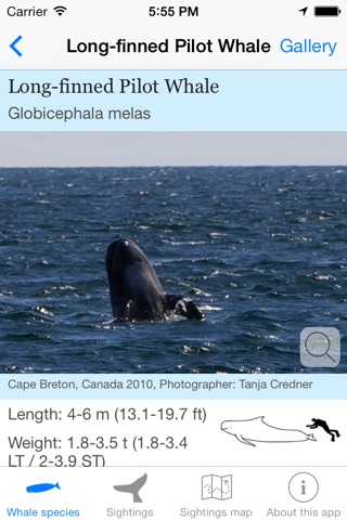 Whale Watching screenshot 2