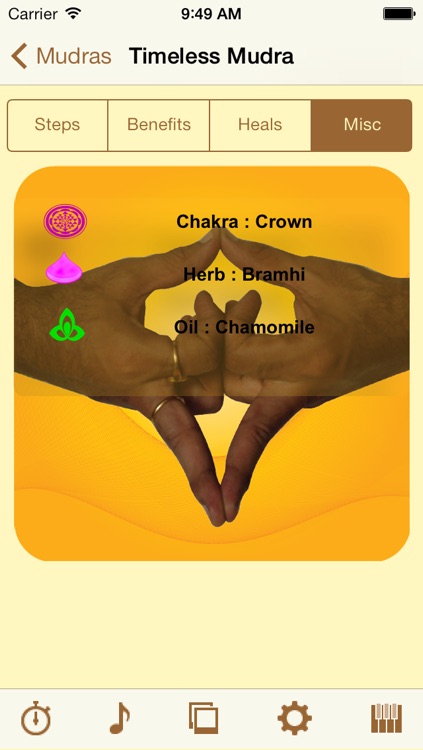 Yoga Mudras screenshot-3