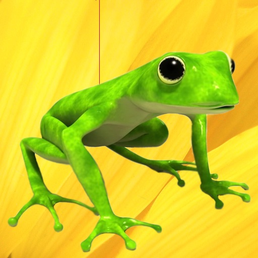 Frog Drop
