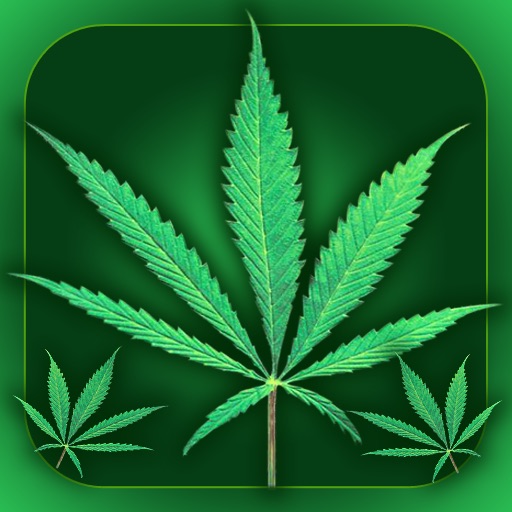 Weed Yo Screen Free iOS App