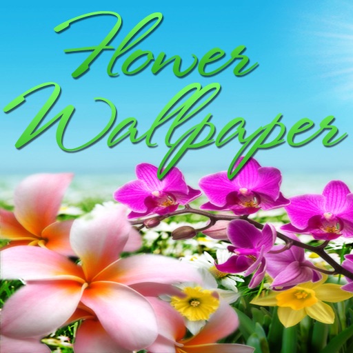 Flower Wallpaper & Background