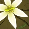 Maestria's Flower