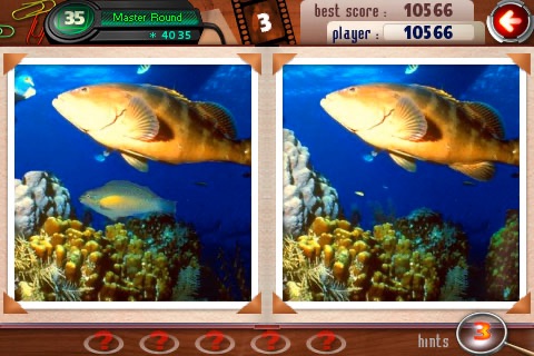 What's the Difference?