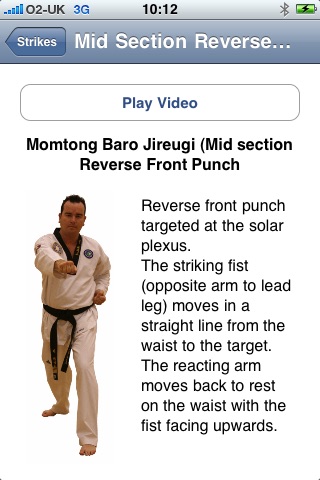 Taekwondo Strikes screenshot 2