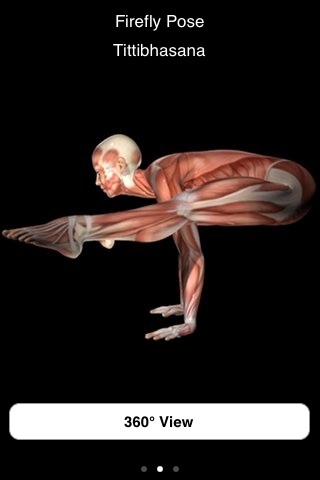 Anatomy of Yoga -Bound Angle, Firefly, and Downward-Facing Dog Poses screenshot 2