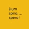 Although the Roman Empire disappeared and latin language is considered 'dead', latin wisdom and experience is still alive through the maxims and terms used today both by the ordinary man, as well as by the most illustrious contemporaries