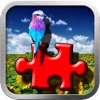 Flickr Photo Viewer And Puzzle Maker