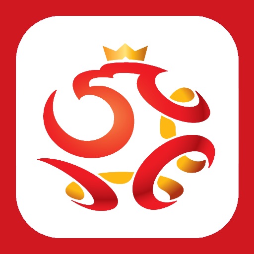 EURO 2012 Biało-czerwoni