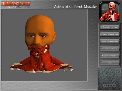 Articulation Neck Muscles screenshot 2