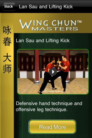 Wing Chun Masters 2 screenshot 3