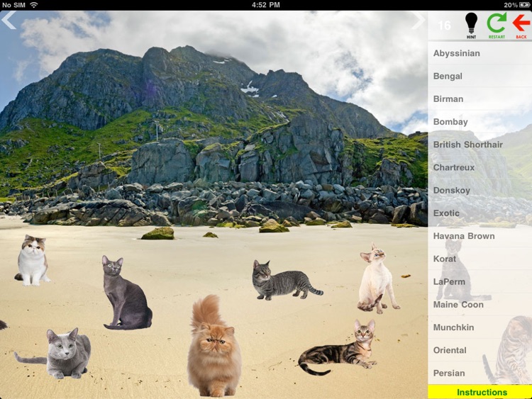 Animal Discovery II for iPad