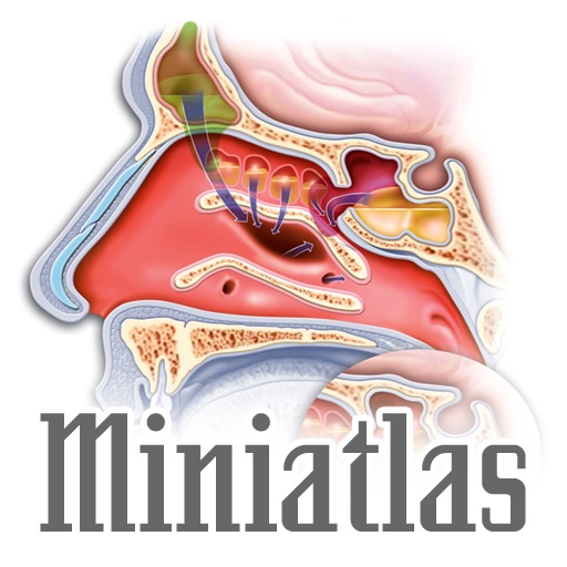 Miniatlas Ear, Nose & Throat