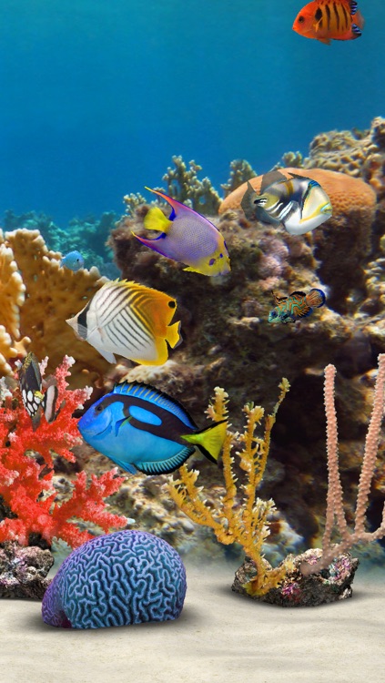 MyReef 3D Aquarium 2 HD screenshot-3