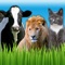Teach your kids about animals