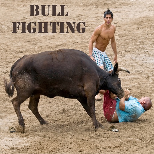 Bullfighting for iPhone icon