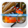 Similar Image Detector
