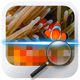螢幕擷取畫面 (5) Similar Image Detector
