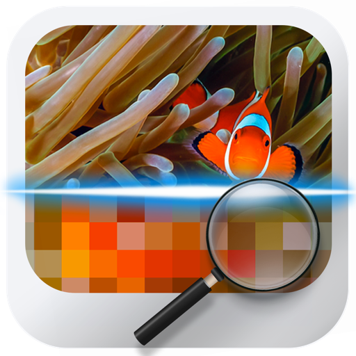 Similar Image Detector app icon