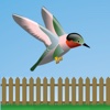 Flappy Hummingbird!