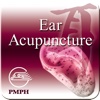 Ear Acupuncture