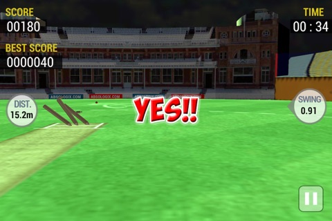Cricket Run Out : The Final Shoot screenshot 4