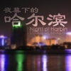 夜幕下的哈尔滨 王刚成名作