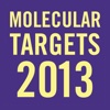 Targets 2013