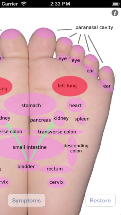Foot Massage Map Free