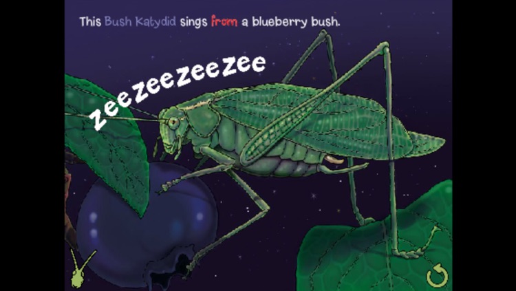 Noisy Bug Sing Along