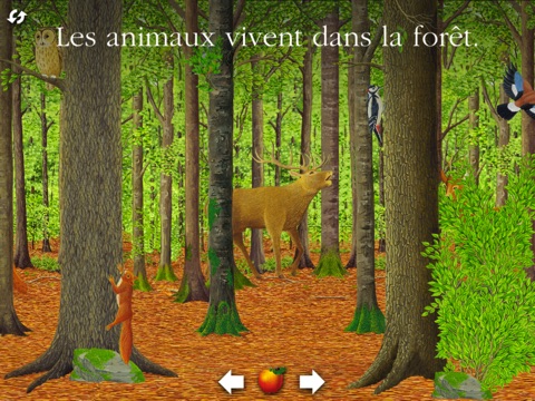 La forêt-Mes premières découvertes screenshot 2