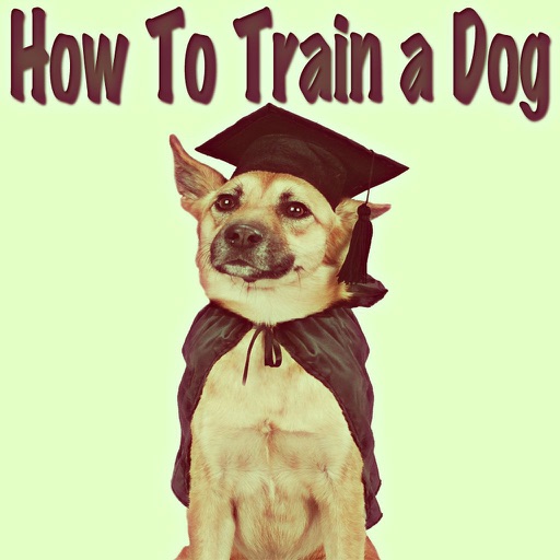 How to Train a Dog: Teach Your Dog Obedience Training! icon