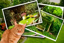Game screenshot Найди Кота apk
